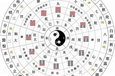 地支天干|天支地支 十二时辰对照表